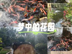 -三亚海棠湾南田温泉神龙谷