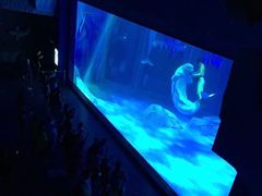 -上海海昌海洋公园-冰山北极馆