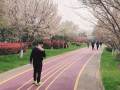 -尚贤河湿地