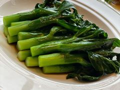 -唐阁海景中餐厅·早茶·粤菜•生日聚餐(海口朗廷酒店)