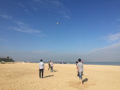 -巨鹏飞梦幻海岸