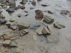 -日照海滨国家森林公园