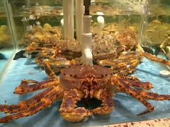 -宜宾海鲜酒家·三十年老字号