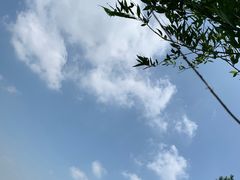 -瑶湖郊野森林公园
