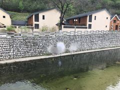 -牛背梁国家森林公园