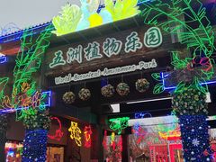 -南宫五洲植物乐园