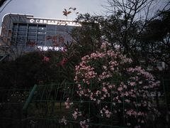 门急诊-广西医科大学第一附属医院