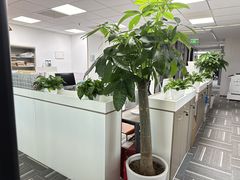 -嘉盛律师团队·法律咨询(上海广场店)