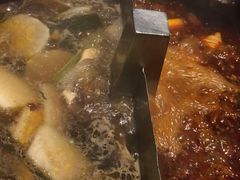 -海底捞火锅(龙岗星河COCO Park店)