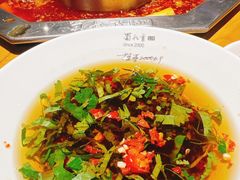 -蜀九香火锅(九眼桥店)