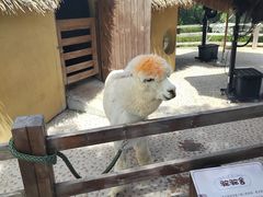 -珠海海泉湾神秘岛亲子乐园