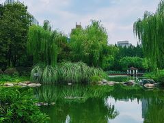 -新虹桥中心花园