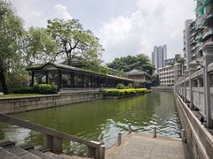 -荔湾湖公园
