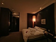 -上海柏悦酒店
