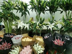 -亭亭鲜花店(中山北路店)