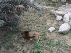 -石家庄市动物园