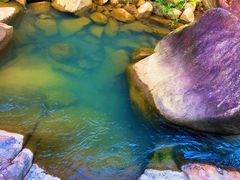 -广州白江湖森林公园