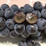 宅家里70多天了，好吃的好在现在都可以买了。下午茶走起