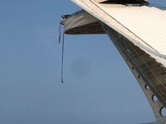 -第35届青岛国际啤酒节