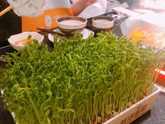 -湊湊火锅·茶憩(打浦桥日月光店)