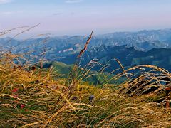-白草畔自然风景区