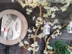 -芳朵美容养生SPA