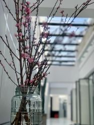 -无界瑜伽普拉提