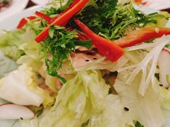 蔬菜沙拉-青瓦餐厅·生鱼片·韩园烤肉(西塔店)