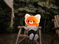 -杭州开元森泊度假乐园