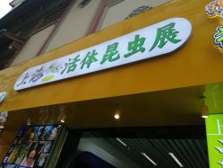 点击看大图 -神奇动物撸宠馆·羊驼·小浣熊·异宠(豫园店)