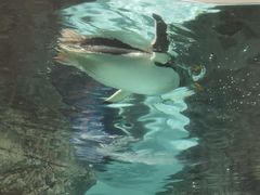 -成都浩海立方海洋公园