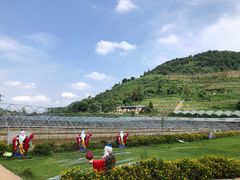 -普迪生态园