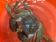 -朱胖子蟹行大闸蟹(定安里店)