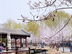 -三里河公园