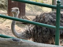 -青藏高原野生动物园