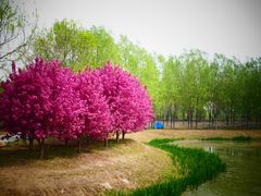 -东郊湿地公园