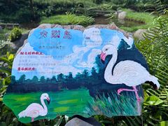 -呀诺达热带雨林