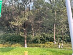 -南京老山国家森林公园