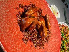 -南堂馆·新川菜(春熙路店)