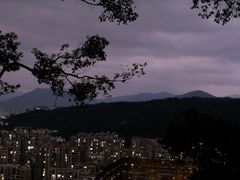 -福道