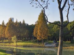 -尚贤河湿地