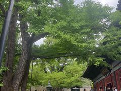 -红螺寺