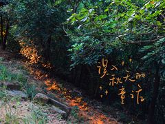 -火炉山森林公园