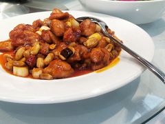 宫保鸡丁-正兴蜀园(科技园区店)