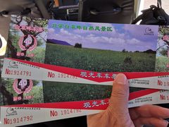 -白草畔自然风景区