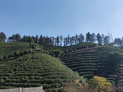 -心无尘茶餐馆(径山村店)