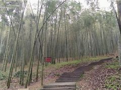 -西湖风景区十里琅珰-五云山