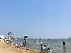 -碧海金沙