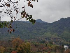 -塔川景区