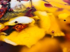 水煮鱼-苍洱春饭店